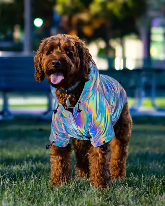 GlowGuard Pooch Hoodie